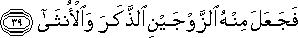 75_39.gif