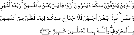 2_234.gif