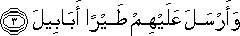 105_3.gif