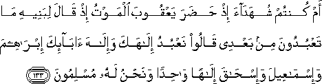 2_133.gif