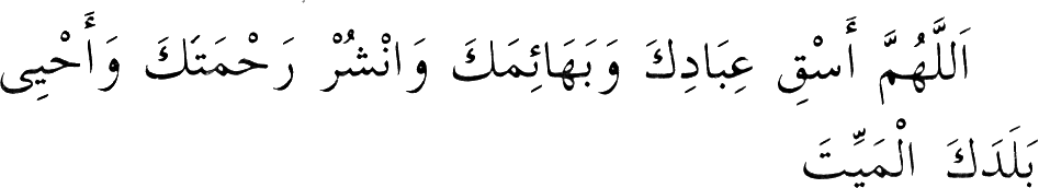 157_2.gif