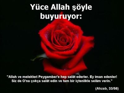 salavat1iz7.jpg