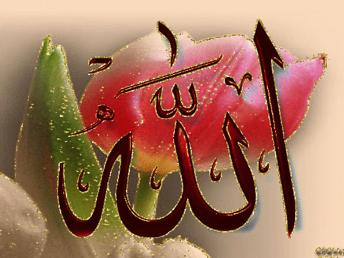 islam13.gif