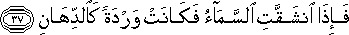 55_37.gif