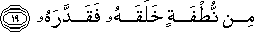 80_19.gif