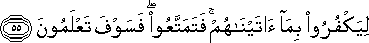 16_55.gif