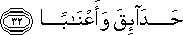 78_32.gif