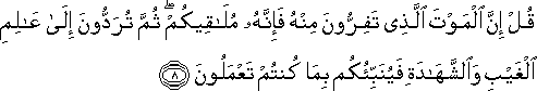 62_8.gif