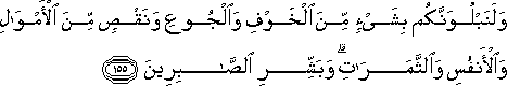 2_155.gif