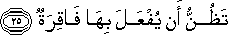 75_25.gif