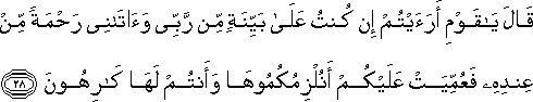 11_28.gif
