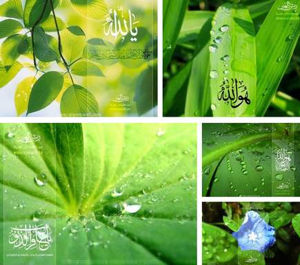 vista-green-islamic-wallpapers.jpg