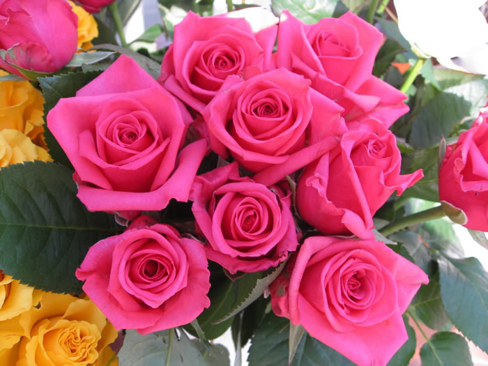roses-wallpaper-roses-bouquets4315_high.jpg